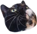 RoxyPotato