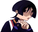 TT_scarahic TT_scarahic
