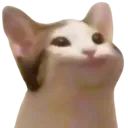 Fatcat fatcat Discord Emoji