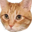 rubbWilson rubbWilson