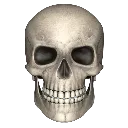 skull3