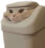 PH_trashbincat PH_trashbincat