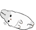 rabbit_roll