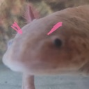 DH2_boatjudge Discord emoji