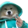 coolpupper