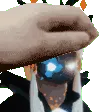 PetTheTheorist