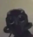 stare