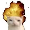 LoL