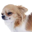 texastoast