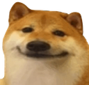 dog_smile custom emote | Niveous Gaming