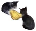 cat_DEALHANDSHAKE