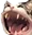 nightmareCat