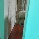 peeking