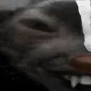 kyoxdd1