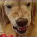 TroubleAnger