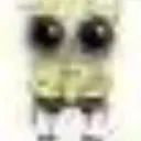 crysponge Discord Emoji