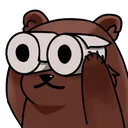 BearLookWrong