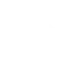 icon_boost