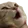CatPOG