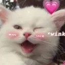 Catwink catwink Discord Emoji