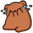 CryingBBearEmote112