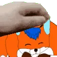 feral_foxy_pet
