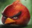 redBird