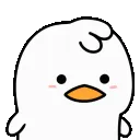 ducknod ducknod