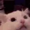 wcK