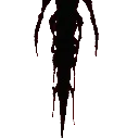 Krill_Bottom