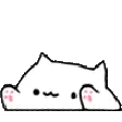 bongolessCat