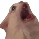 emoji_1