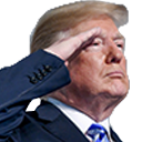 trumpsalute