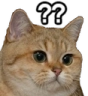 WL_cat_what Discord emoji