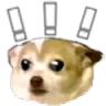 ConfusedDogWithExclamationMarks