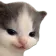 heheee