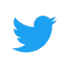 twitter Discord emoji