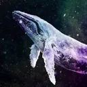 SpaceWhale