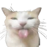 bleh