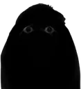 munci munci