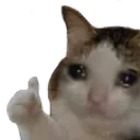 Sad Cat sad_cat Discord Emoji