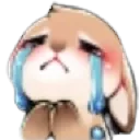 6B_Bun_Cry