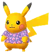 PikachuFlowerShiny PikachuFlowerShiny