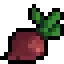 beetroot