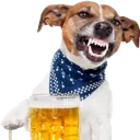mybeer