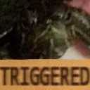 triggered Discord Emoji