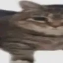 pep