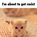 Suscat suscat Discord Emoji