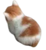 catbum Discord Emoji