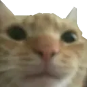 emoji_32 emoji_32
